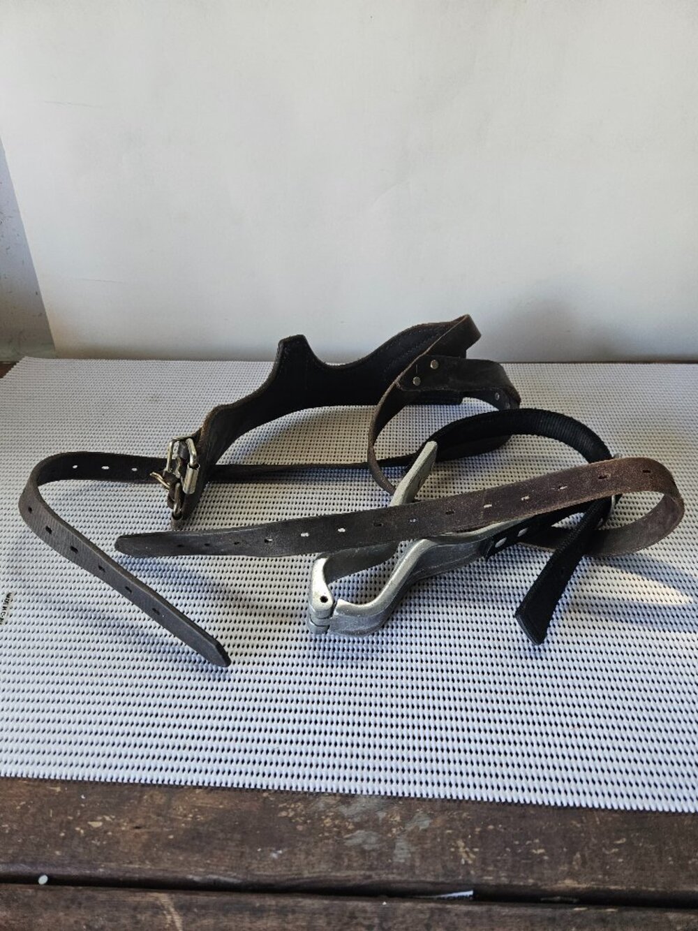 Two horse cribbing collars